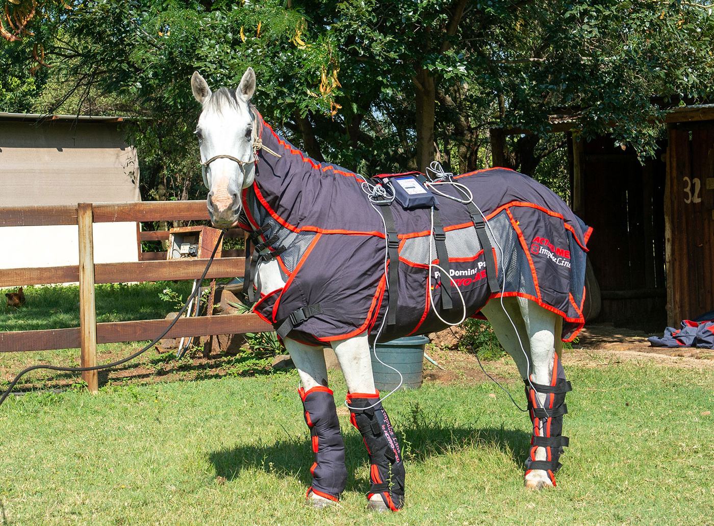 Grey horse wearing the full Activo-Med blanket