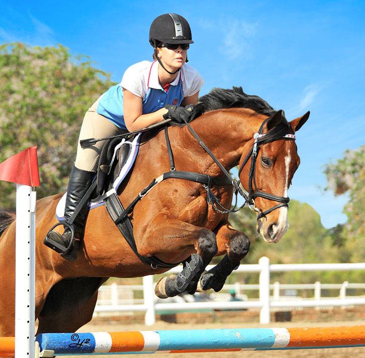 Kristen FitzPatrick jumping a bay horse over a coloured oxer