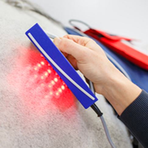 Low-level laser cluster light on a horse